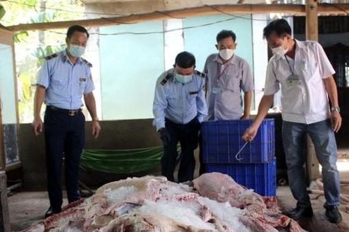 Phát hiện gần 2 tấn thịt heo tím tái sắp đưa đi tiêu thụ