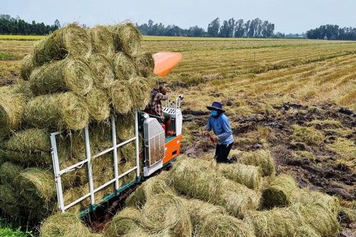 'Hồ sơ quyết toán nghiên cứu khoa học còn dày hơn kết quả nghiên cứu'