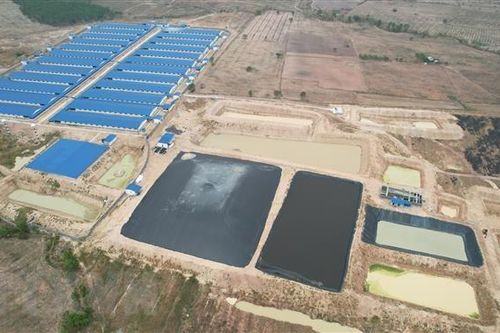 Gia Lai: Người dân khổ sở vì các dự án chăn nuôi ngay trong khu dân cư