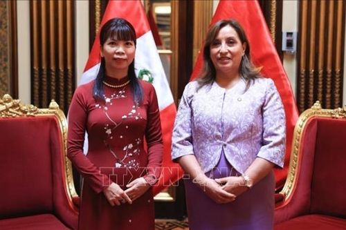 Tổng thống Dina Boluarte đánh giá cao quan hệ hợp tác song phương Việt Nam - Peru