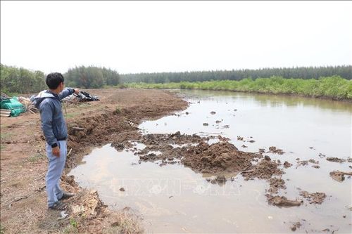 Xử phạt nông dân phá rừng phòng hộ để nuôi sò huyết