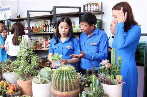 Ra mắt dịch vụ kết nối, tiêu thụ sản phẩm khởi nghiệp của thanh niên ĐBSCL
