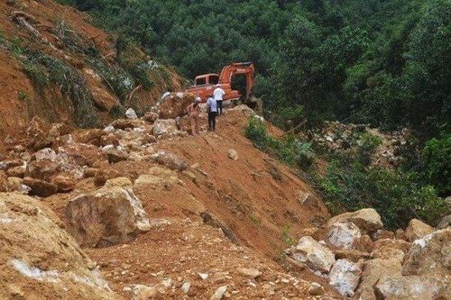 Nghệ An: Xử phạt công ty lấn, chiếm hơn 17.000 m2 đất rừng sản xuất