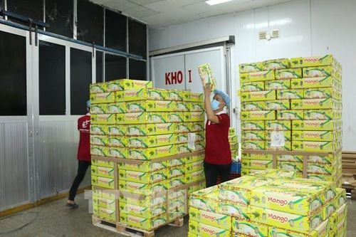 Hỗ trợ doanh nghiệp xuất khẩu qua thương mại điện tử