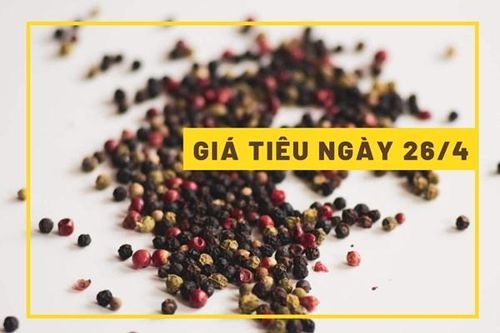 Giá tiêu ngày 26/4: Dần tiến đến mốc 68.000 đồng/kg?