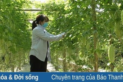 Bá Thước phấn đấu thực hiện có hiệu quả giải pháp phát triển kinh tế - xã hội