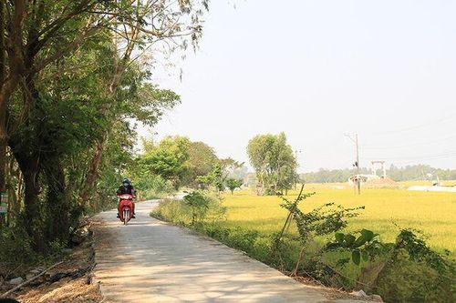 Chuyện của 3 xã bờ Đông