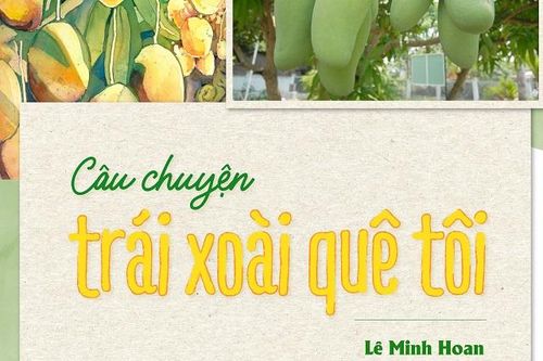 Câu chuyện trái xoài quê tôi