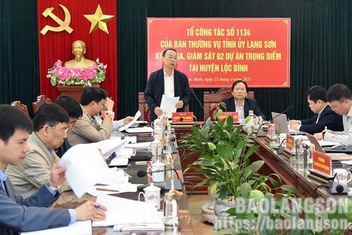 Kiểm tra, giám sát 2 dự án trọng điểm tại huyện Lộc Bình