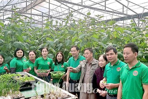 Nông dân 4.0