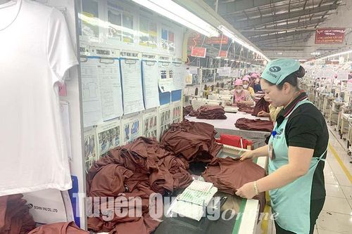 Điều tra doanh nghiệp 2023: Đo lường 'sức khỏe' sản xuất kinh doanh của doanh nghiệp