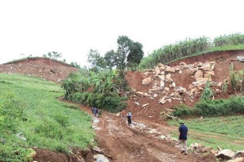 Nghệ An: Xử phạt doanh nghiệp 120 triệu đồng vì lấn chiếm đất rừng để khai thác khoáng sản