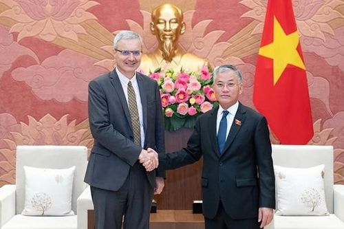 Phó Chủ nhiệm Ủy ban Đối ngoại Đôn Tuấn Phong tiếp Đại sứ Pháp