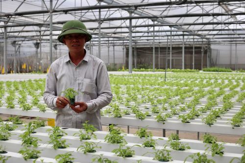Khoa học - công nghệ đóng góp 35% giá trị gia tăng của ngành nông nghiệp