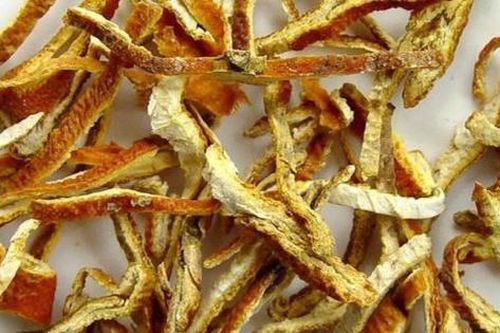 Thuốc nam điều trị đau dạ dày