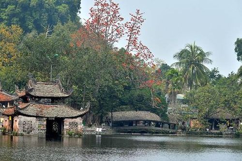 Tìm sự thống nhất trong đa dạng