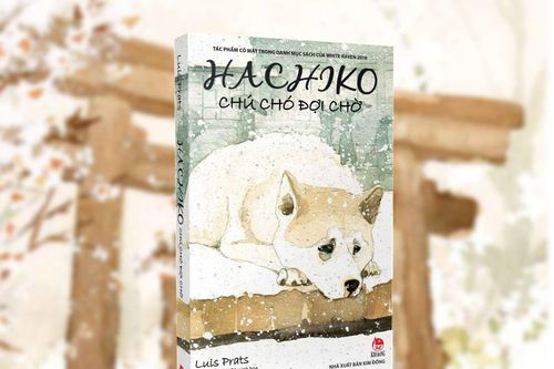 Câu chuyện về lòng trung thành trong 'Hachiko - Chú chó đợi chờ'