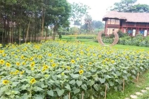 Thái Nguyên đảm bảo hoạt động du lịch trong kỳ nghỉ lễ