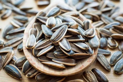 Trẻ 2 tuổi viêm phổi kéo dài do vỏ hướng dương