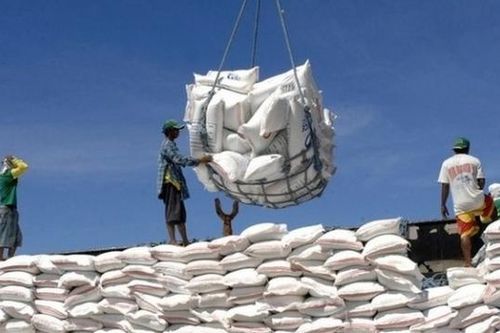 Tin tức kinh tế ngày 26/4: Xuất khẩu gạo mang về hơn 980 triệu USD trong quý I