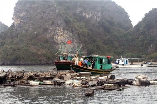 Rác thải trên vịnh Hạ Long - cần giám sát từ nguồn thải
