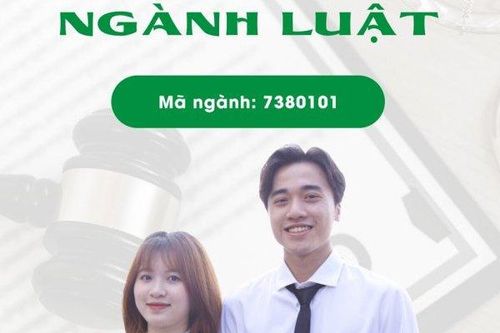 Lý do ngành Luật Đại học Đông Á luôn 'hút' sinh viên