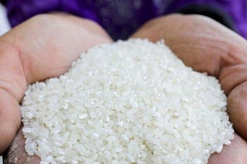 Thế giới đối mặt nguy cơ thiếu gạo nghiêm trọng