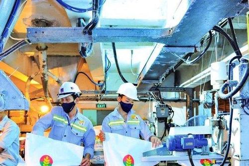 Lợi nhuận Đạm Cà Mau 'bốc hơi' 85% trong quý đầu năm