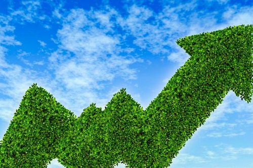 TPHCM: Chuyển đổi mô hình kinh tế xanh phải chấp nhận mức tăng trưởng thấp