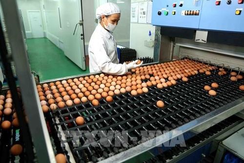 VCCI: Đồng tình đề xuất tiếp tục chính sách giảm thuế giá trị gia tăng