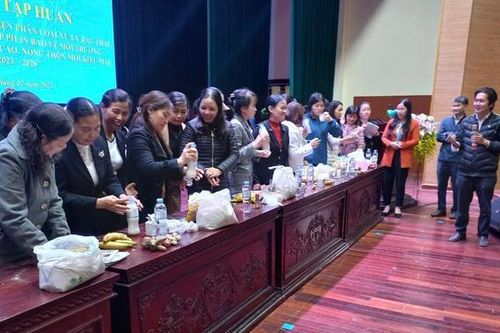 Hưng Yên: Phấn đấu hướng dẫn phân loại và xử lý rác thải sinh hoạt cho 95% hộ gia đình hội viên, phụ nữ