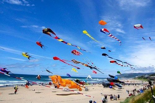 Trình diễn thả con diều lớn nhất Việt Nam dịp nghỉ lễ 30/4-1/5