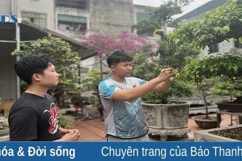 Người 'thổi hồn' vào cây cảnh giữa lòng phố thị
