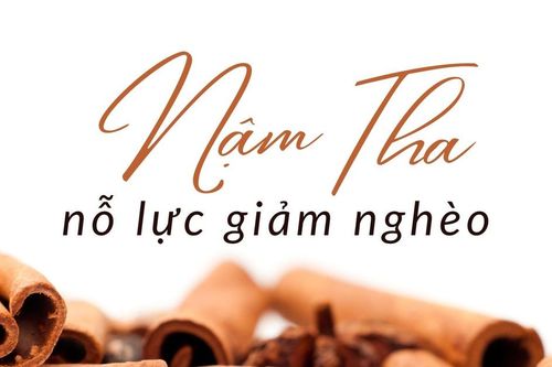 Nậm Tha nỗ lực giảm nghèo