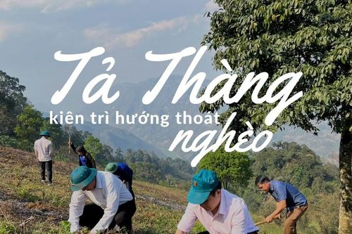 Tả Thàng kiên trì hướng thoát nghèo