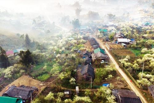 Gian nan tìm kế mưu sinh