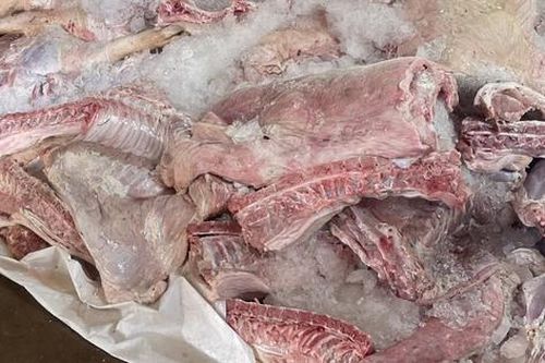Phát hiện điểm trữ hơn 1,7 tấn thịt lợn bốc mùi hôi thối