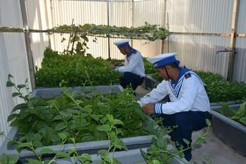 Bộ đội hậu cần làm theo lời Bác Hồ dạy: Nhiều chương trình, dự án hậu cần hiệu quả ở Vùng 4 Hải quân