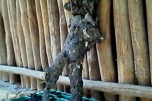 Chấn động những vụ phát hiện 'xác người ngoài hành tinh' trên Trái đất