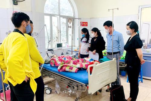 8 người nhập viện sau khi ăn hoa quả rừng