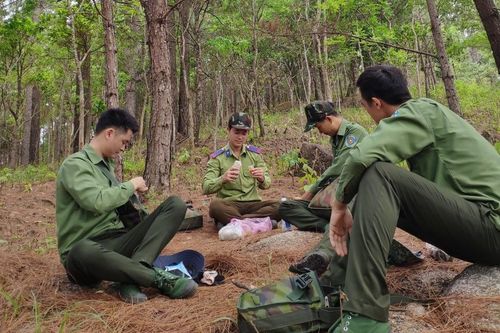 Gia Lai: Nhân viên bảo vệ rừng nghỉ việc hàng loạt, một người phải 'gánh trên vai' hơn 3.000 ha rừng