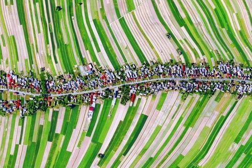 Ngôi làng chỉ có một con đường đẹp như tranh ở Ba Lan