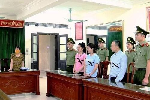 2 giám đốc doanh nghiệp ở Ninh Bình bị khởi tố