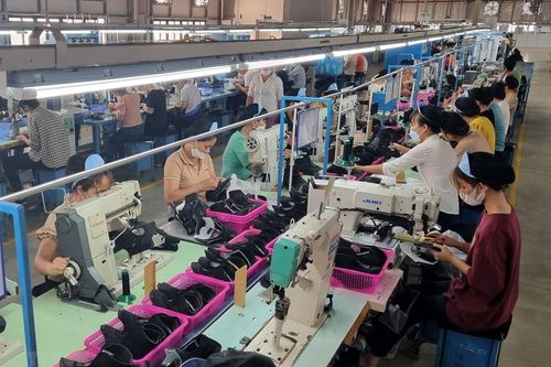Hướng dẫn doanh nghiệp về thủ tục cấp chứng nhận tiêu chuẩn của Ấn Độ