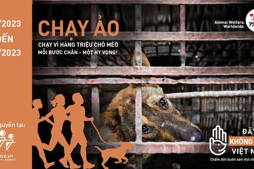 Chạy trực tuyến kêu gọi chấm dứt buôn bán thịt chó, mèo