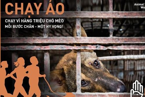 Phát động giải chạy trực tuyến 'RUN FOR MILLIONS – Chạy vì hàng triệu chó, mèo'