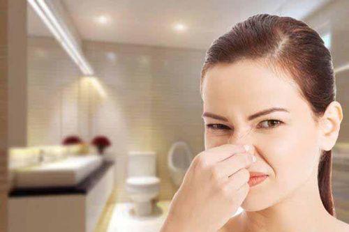 Top 4 cách khử mùi hôi nhà vệ sinh nhanh chóng, hiệu quả