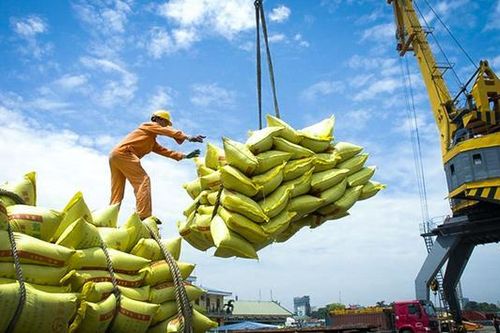 Gạo là điểm sáng của xuất khẩu Việt Nam