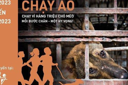 Phát động giải chạy trực tuyến nhằm chấm dứt tình trạng buôn bán thịt chó, mèo