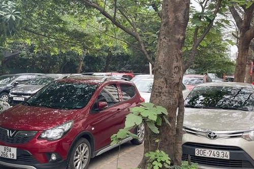 Hà Nội giành lại vỉa hè cho người đi bộ: Ô tô vẫn 'nuốt trọn' vỉa hè, tràn xuống lòng đường